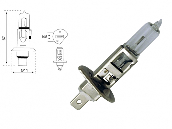 Lampe H1 24V, 75W (boîte 1 pc.)