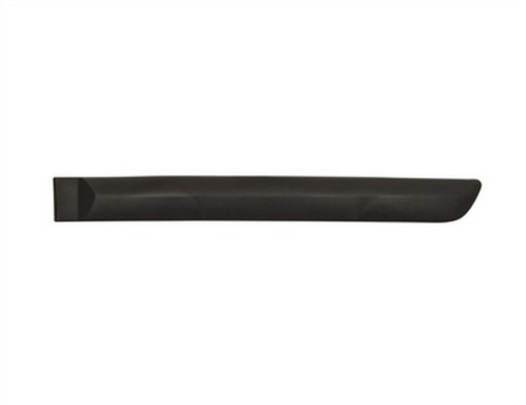 Moulure de porte arrière gauche, noire