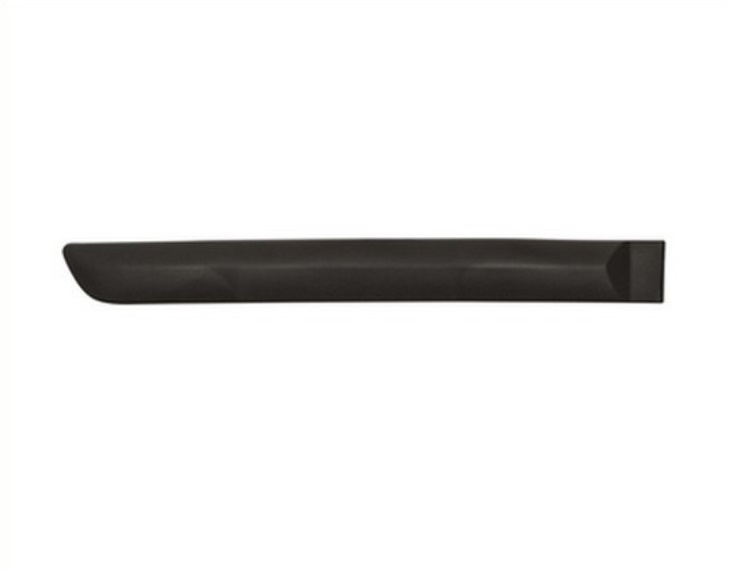Moulure de porte arrière droite, noire