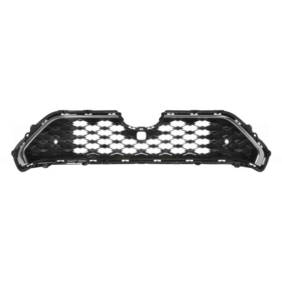 Grille noire, moulure chromée, avec trou pour caméra